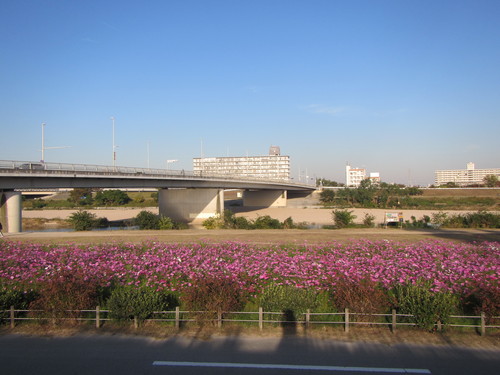 a0251786_1940372.jpg