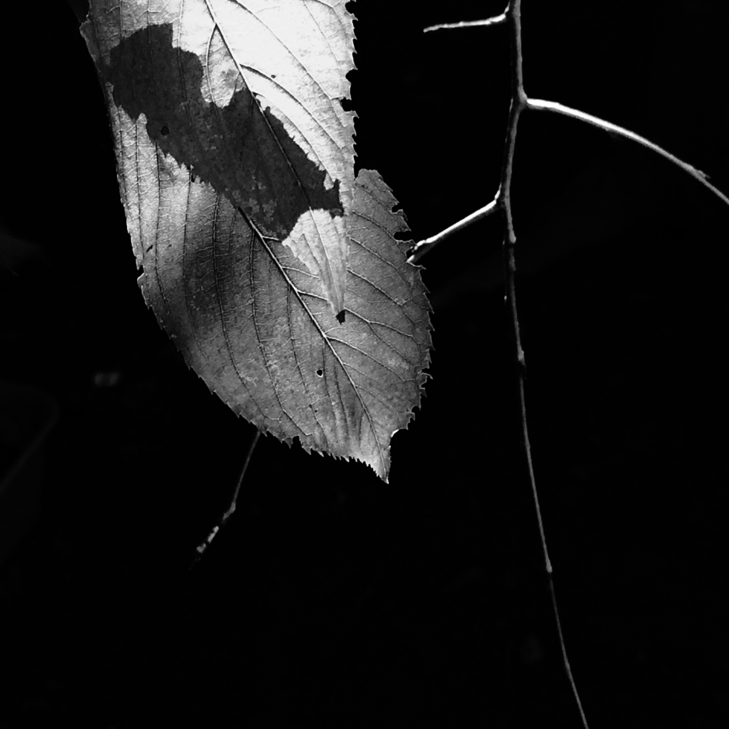 f0238991_1524196.jpg