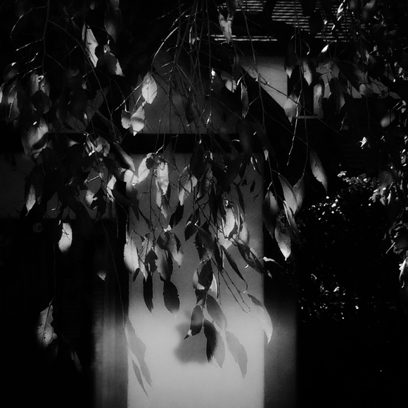 f0238991_154109.jpg