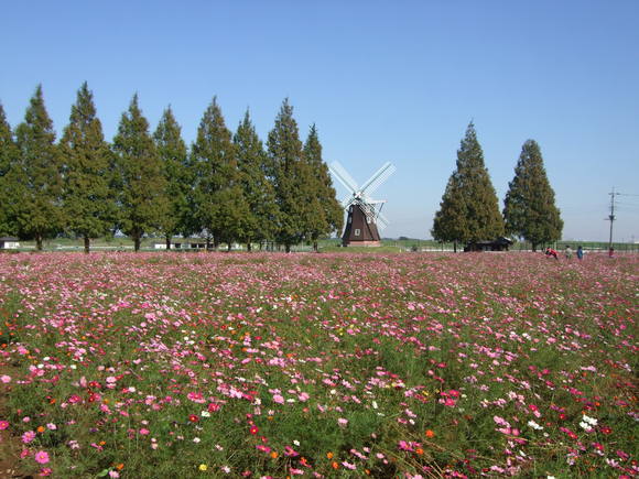 a0282294_15113681.jpg