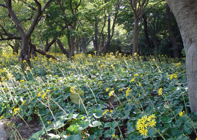 e0013399_15464754.jpg