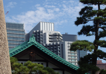 e0013399_1551019.jpg