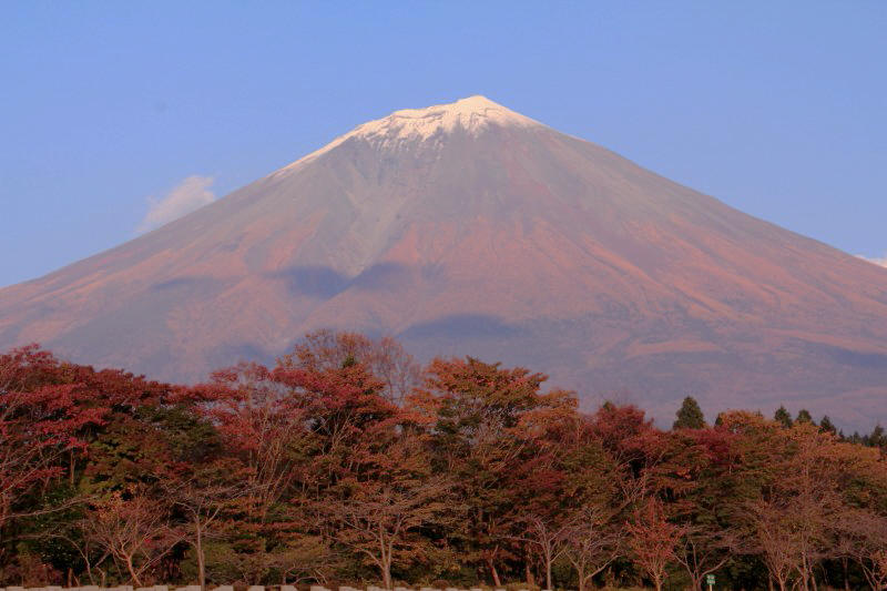 a0188405_00045779.jpg