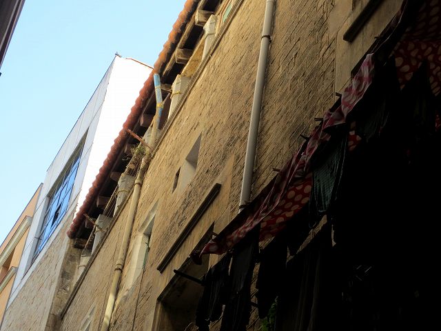 b0064411_05365229.jpg