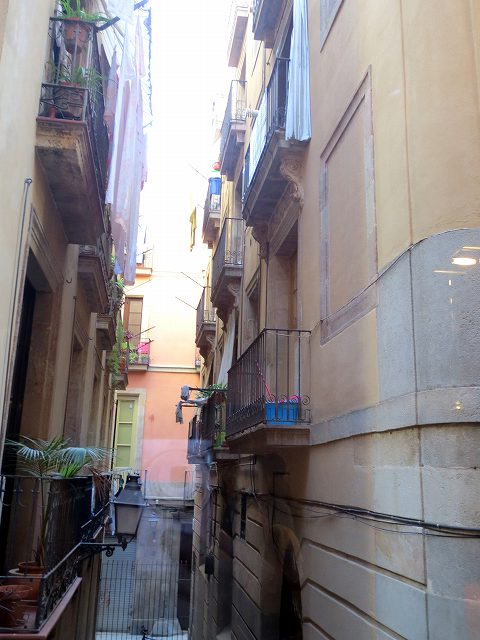 b0064411_06114315.jpg