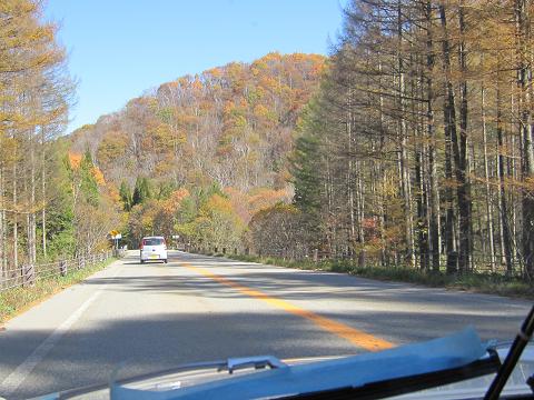 b0333711_1718641.jpg