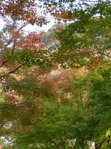 c0101913_1544070.jpg