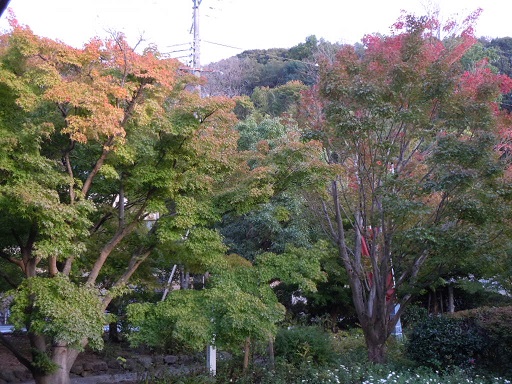 c0101913_1620537.jpg