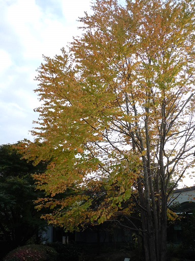 c0101913_1621541.jpg