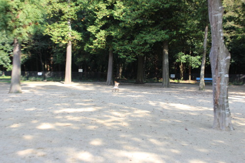 c0338613_23011764.jpg