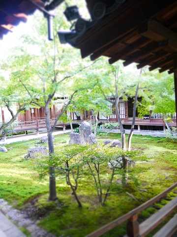 b0302616_206137.jpg