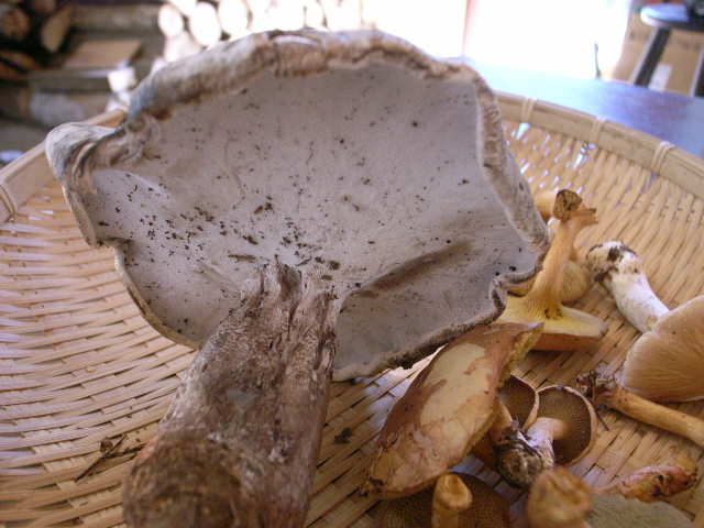 f0341616_06514096.jpg