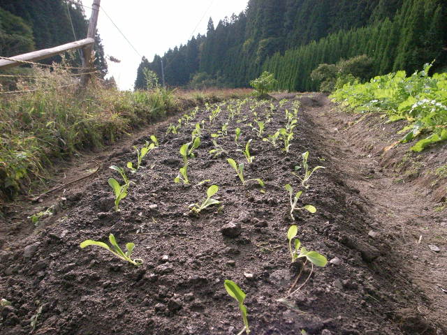 f0341616_07015890.jpg