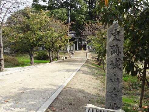 f0000521_17440050.jpg