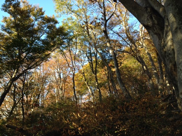 f0149422_22321248.jpg