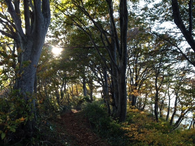 f0149422_22323417.jpg