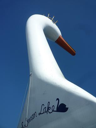 c0180023_16385517.jpg