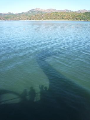 c0180023_1639597.jpg