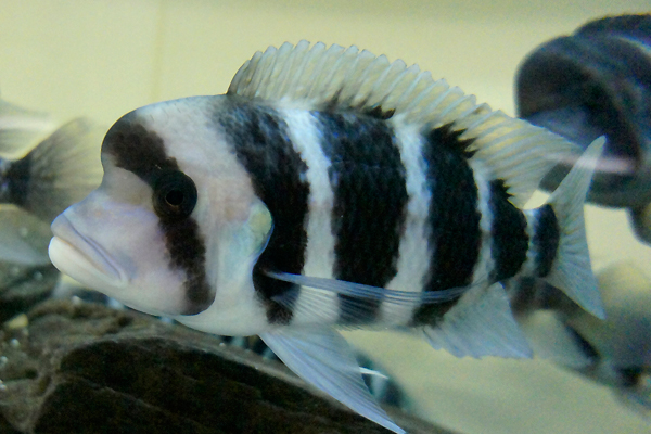 b0044726_2010091.jpg