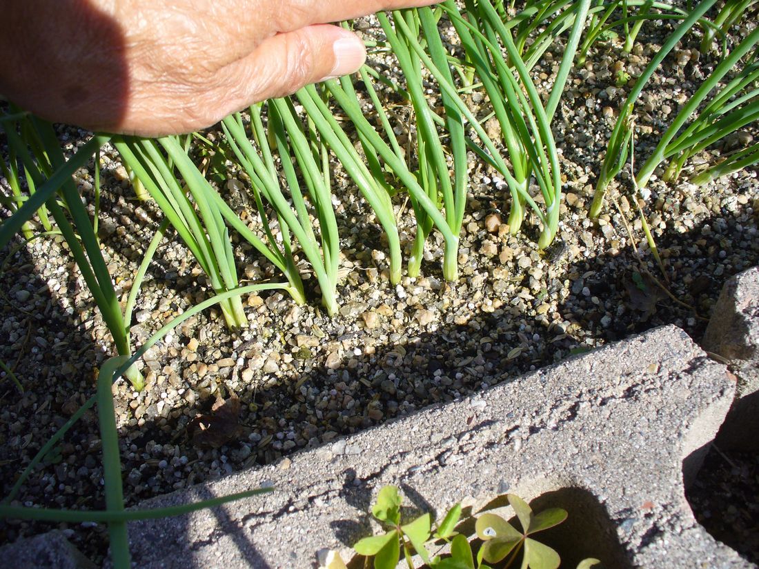 f0346527_2214058.jpg