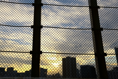 b0319629_20085160.jpg