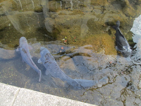 c0280729_1349185.jpg