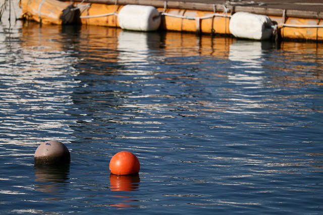 a0242438_1821679.jpg