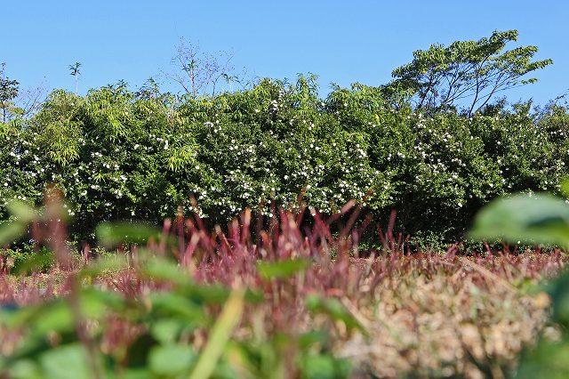 a0242438_1844661.jpg