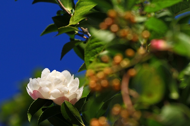 a0242438_1851150.jpg