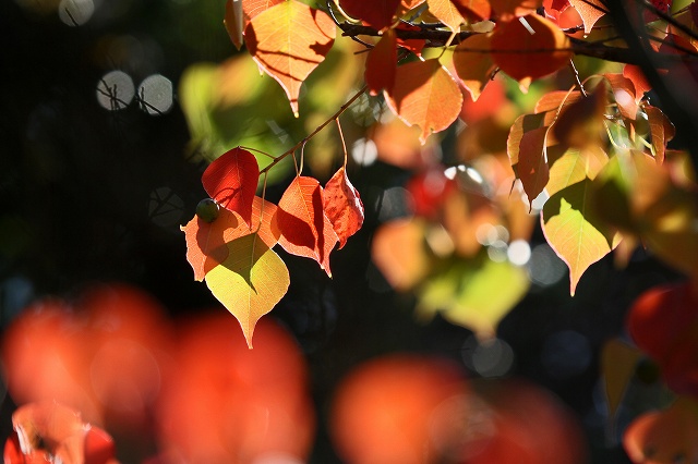 a0242438_1865625.jpg