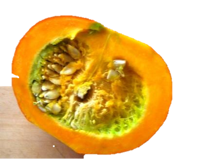 e0255638_19284257.png