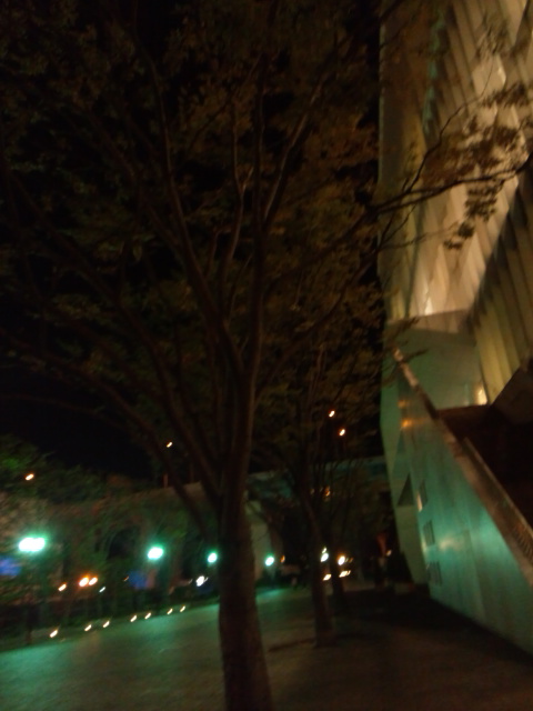 d0244839_17294420.jpg
