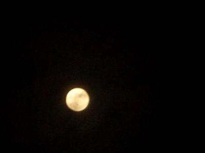c0345647_11154390.jpg