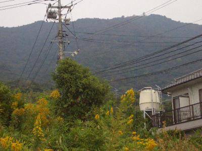 c0345647_11165888.jpg