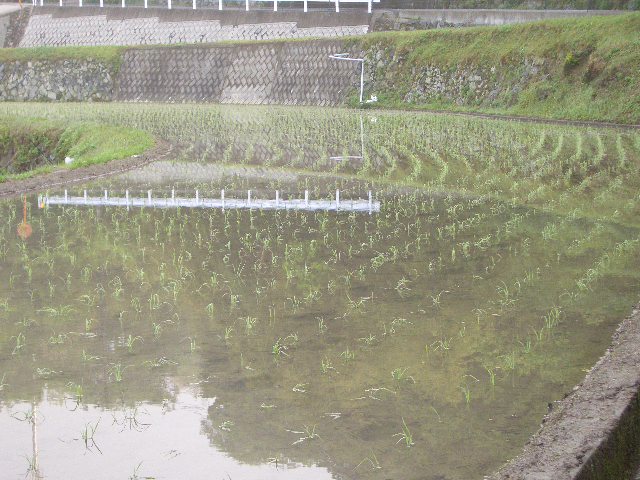 c0345647_11193050.jpg