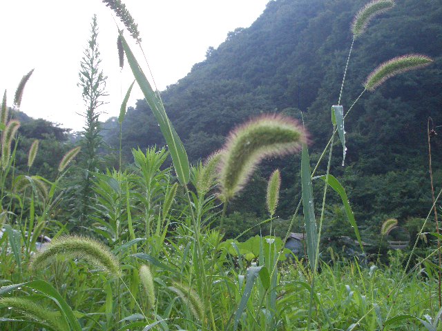 c0345647_11194070.jpg