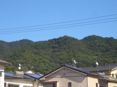 c0345647_11203222.jpg