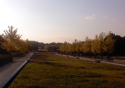 e0172950_21194754.jpg