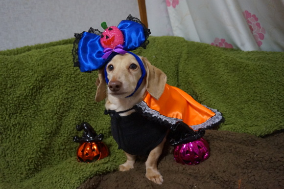 c0245751_22043239.jpeg
