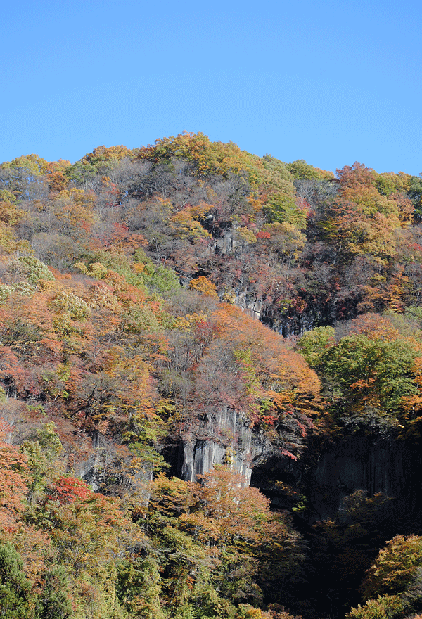 a0001354_20445182.gif