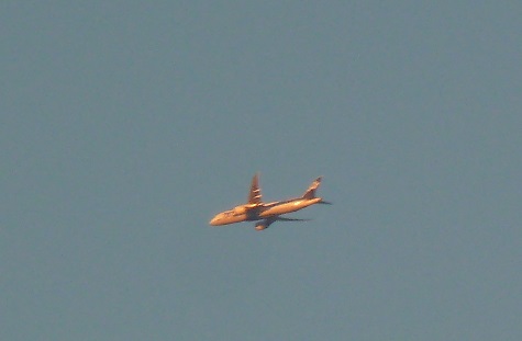 e0278968_00085543.jpg