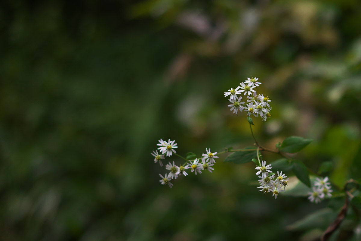 a0083081_2273244.jpg