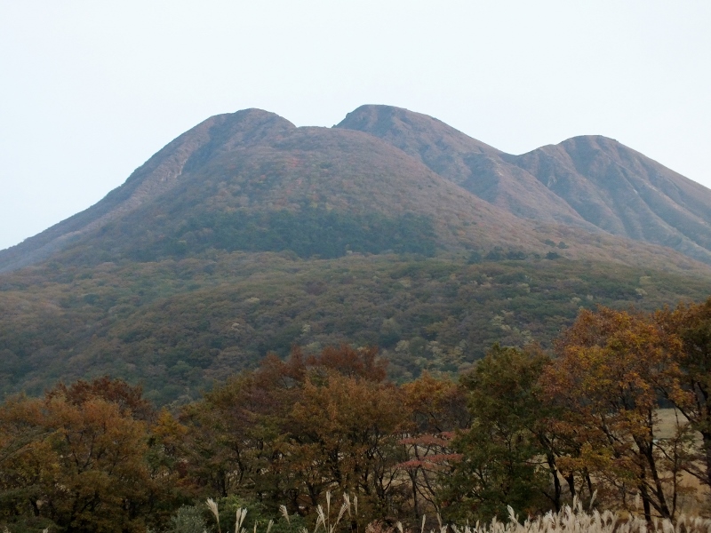 f0082181_1749384.jpg