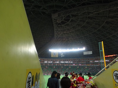d0174683_20102020.jpg