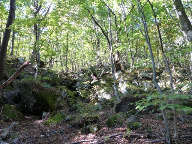 f0357487_2214945.jpg