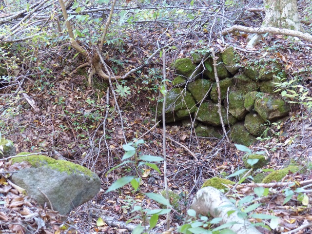 f0357487_22181950.jpg