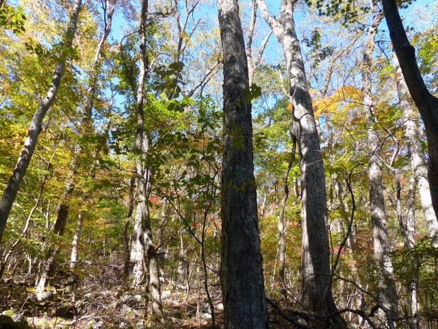 f0357487_2219319.jpg