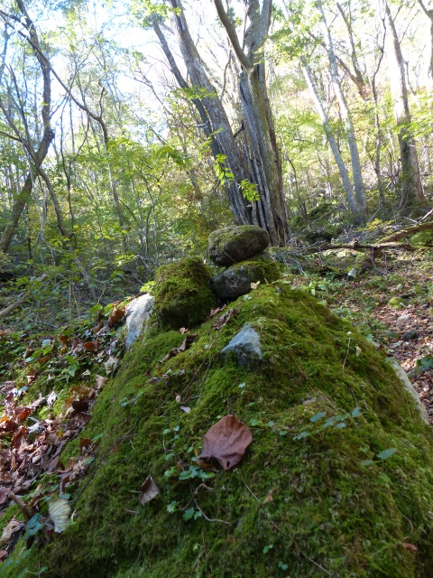 f0357487_22195545.jpg