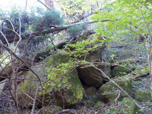 f0357487_2221536.jpg