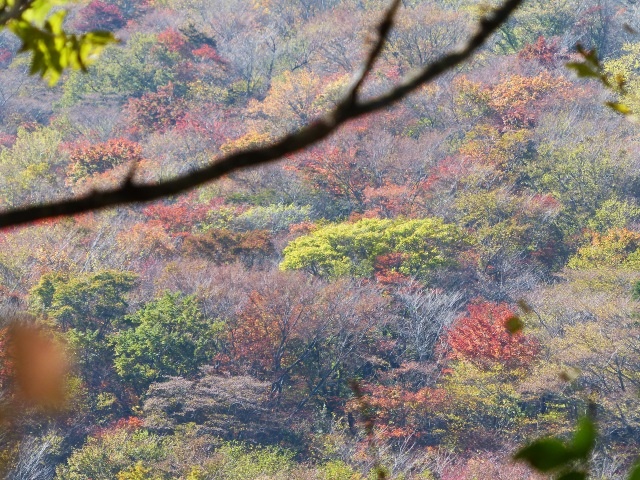 f0357487_22304451.jpg